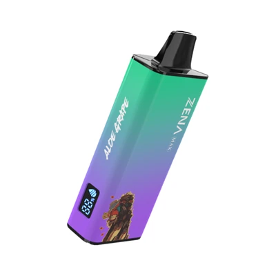 12000puffs ডিসপোজেবল ভ্যাপ কাস্টমাইজযোগ্য